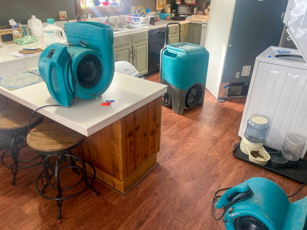 Best Water damage restoration services  in Collinsville, CT