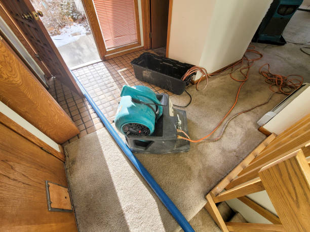 Best Water damage restoration near me  in Collinsville, CT