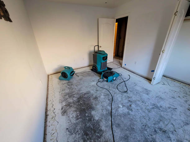 Best Residential water damage restoration  in Collinsville, CT