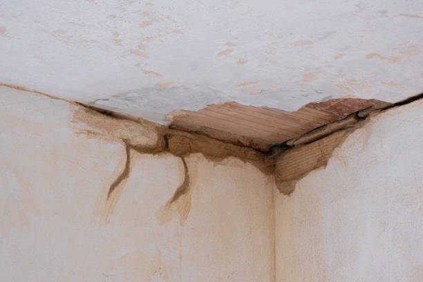 Best Commercial water damage restoration  in Collinsville, CT