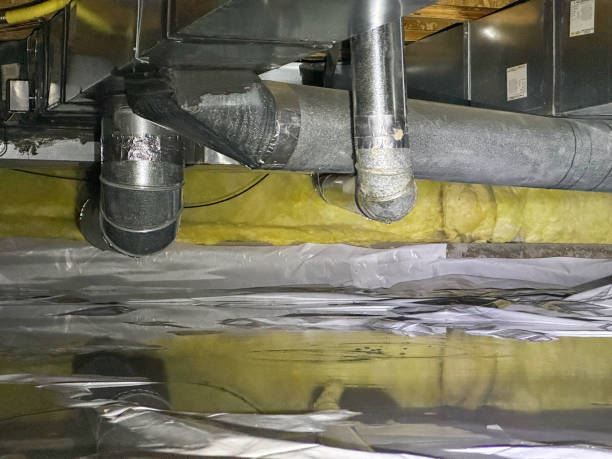 Best Ceiling water damage repair  in Collinsville, CT