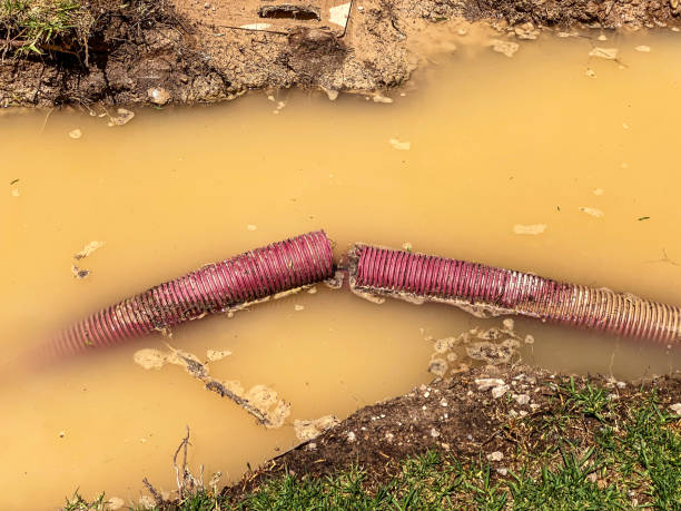 Best Basement water damage restoration  in Collinsville, CT