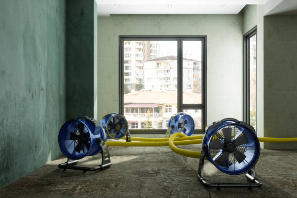 Best 24/7 water damage repair  in Collinsville, CT